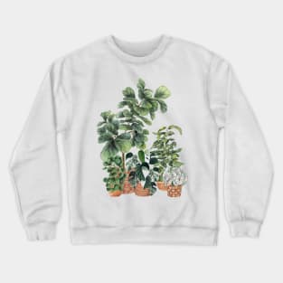 House Plants 8 Crewneck Sweatshirt